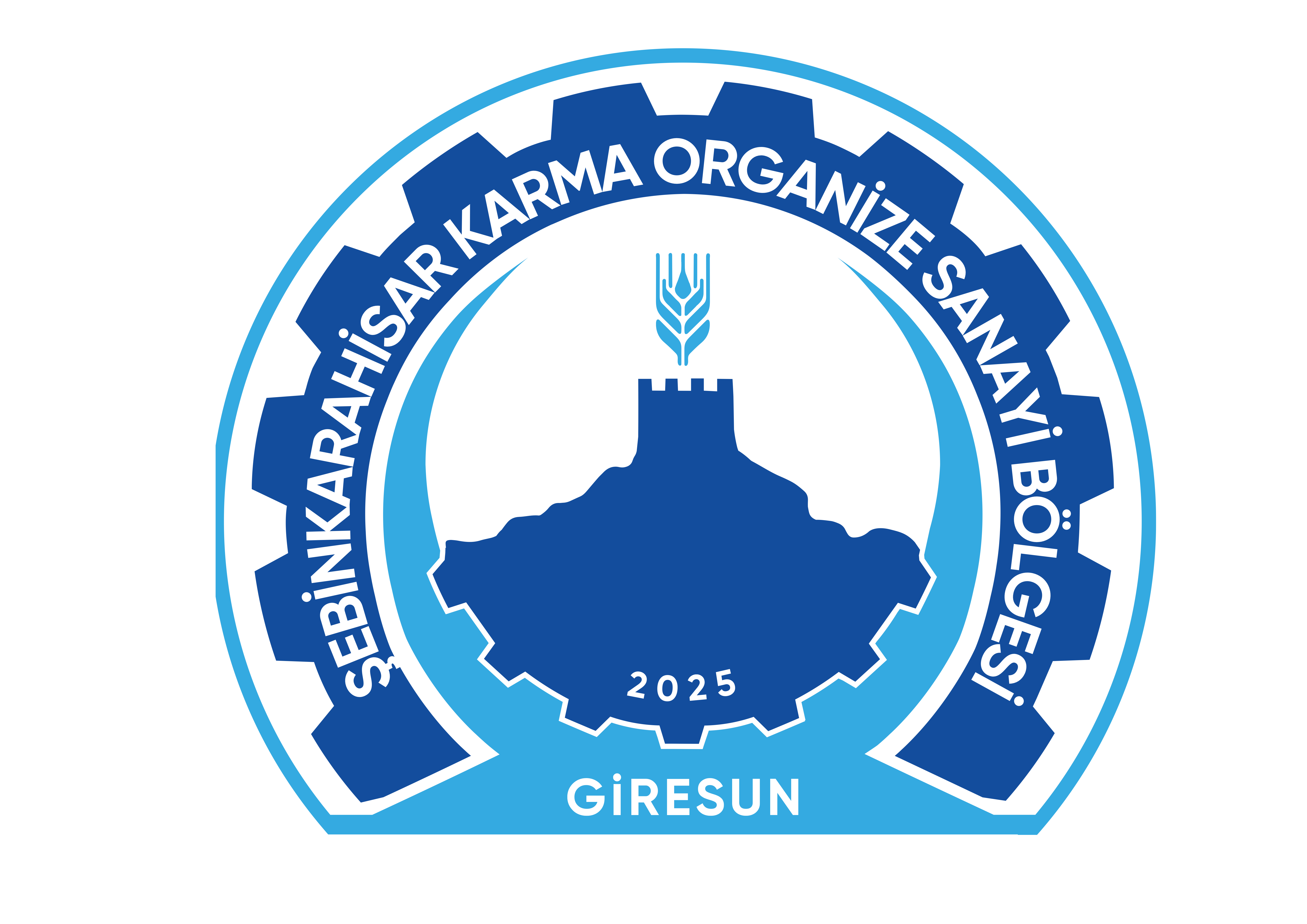 Şebinkarahisar Karma OSB